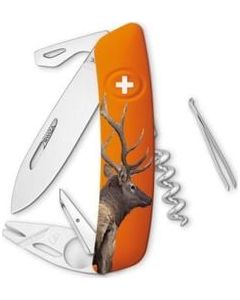 orange deer