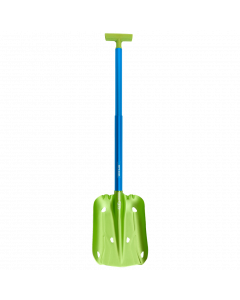 green/light blue