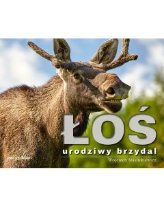 104395
