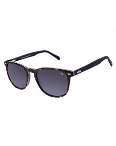 brown-blue demi/navy blue