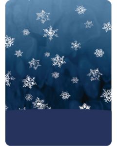 antarctic snow